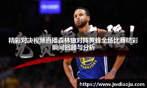 精彩对决视频直播森林狼对阵黄蜂全场比赛精彩瞬间回顾与分析